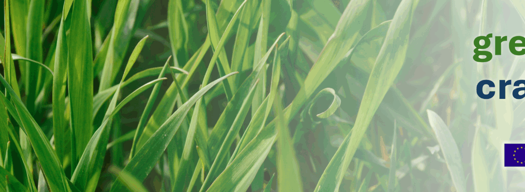 Green Craft Up! – An Erasmus+ project to promote green transition among workers over 50